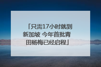 只需17小时就到新加坡 今年首批青田杨梅已经启程