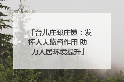 台儿庄邳庄镇：发挥人大监督作用 助力人居环境提升