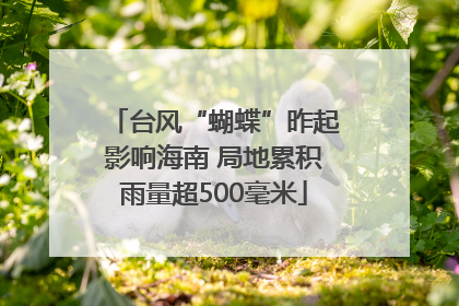 台风“蝴蝶”昨起影响海南 局地累积雨量超500毫米