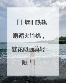 十堰旧铁轨邂逅夹竹桃，繁花似画莫轻触！