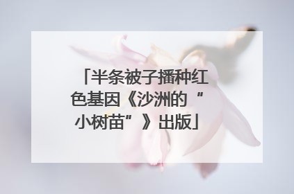 半条被子播种红色基因《沙洲的“小树苗”》出版