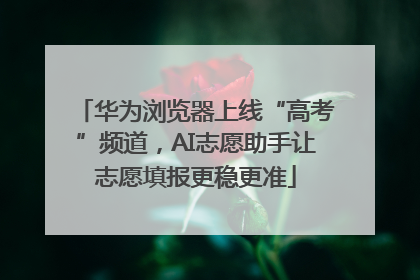 华为浏览器上线“高考”频道，AI志愿助手让志愿填报更稳更准