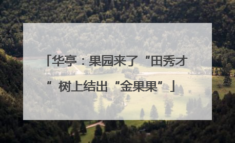华亭：果园来了“田秀才”树上结出“金果果”