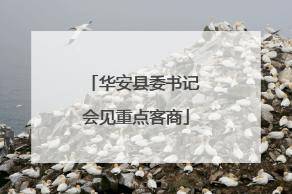 华安县委书记会见重点客商