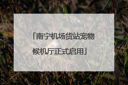南宁机场货站宠物候机厅正式启用
