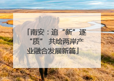 南安：追“新”逐“质” 共绘两岸产业融合发展新篇