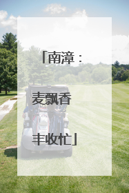 南漳：麦飘香 丰收忙