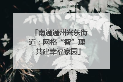 南通通州兴东街道：网格“智”理 共建幸福家园