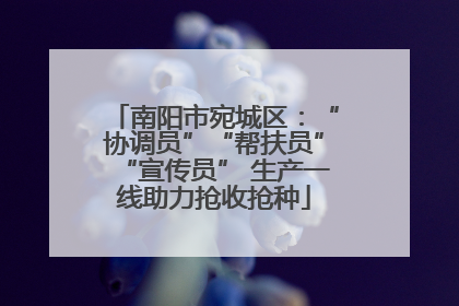 南阳市宛城区：“协调员”“帮扶员”“宣传员” 生产一线助力抢收抢种