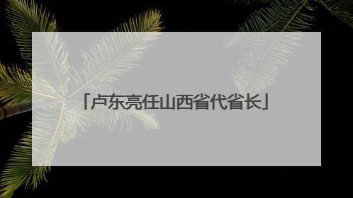 卢东亮任山西省代省长