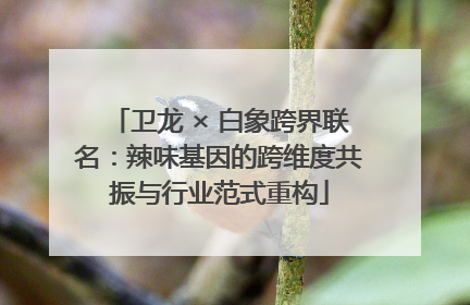 卫龙 × 白象跨界联名：辣味基因的跨维度共振与行业范式重构