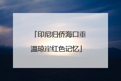 印尼归侨海口重温琼崖红色记忆