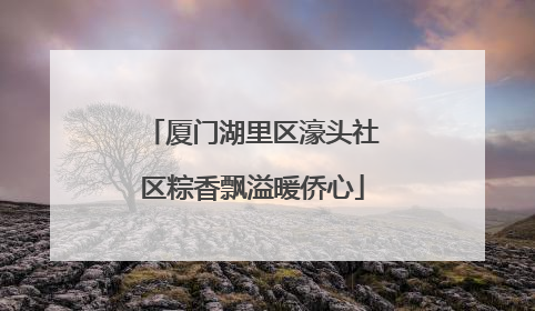 厦门湖里区濠头社区粽香飘溢暖侨心
