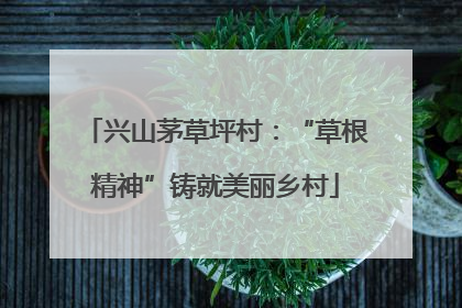 兴山茅草坪村：“草根精神”铸就美丽乡村