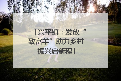 兴平镇：发放“致富羊”助力乡村振兴启新程