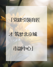 党建引领育匠才 筑梦北京城市副中心