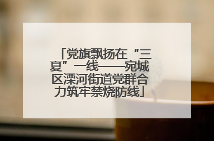党旗飘扬在“三夏”一线——宛城区溧河街道党群合力筑牢禁烧防线