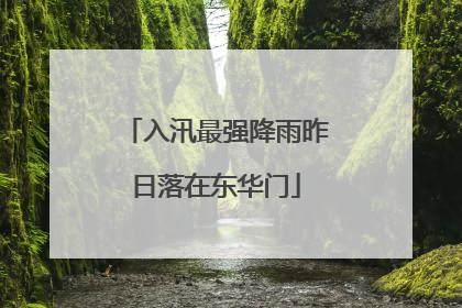 入汛最强降雨昨日落在东华门