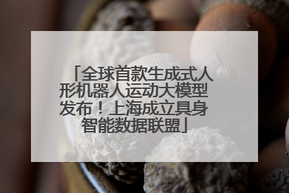 全球首款生成式人形机器人运动大模型发布！上海成立具身智能数据联盟