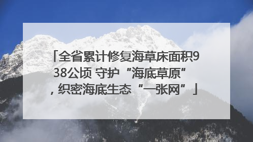 全省累计修复海草床面积938公顷 守护“海底草原”，织密海底生态“一张网”