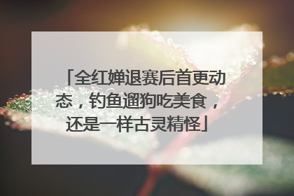 全红婵退赛后首更动态，钓鱼遛狗吃美食，还是一样古灵精怪