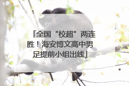 全国“校超”两连胜！海安博文高中男足提前小组出线