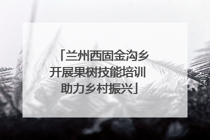 兰州西固金沟乡开展果树技能培训 助力乡村振兴