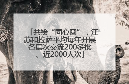 共绘“同心圆”，江苏和拉萨平均每年开展各层次交流200多批、近2000人次