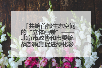 共绘首都生态空间的“立体画卷”——北京市政协和市委统战部聚焦促进绿化彩化美化生态空间建设联合协商议政