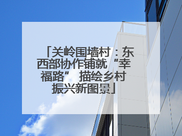 关岭围墙村：东西部协作铺就“幸福路” 描绘乡村振兴新图景