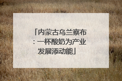 内蒙古乌兰察布：一杯酸奶为产业发展添动能