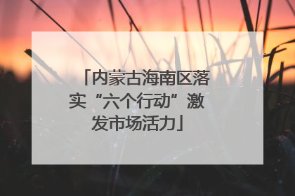 内蒙古海南区落实“六个行动”激发市场活力