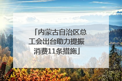 内蒙古自治区总工会出台助力提振消费11条措施
