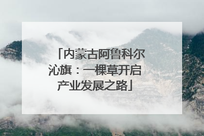 内蒙古阿鲁科尔沁旗：一棵草开启产业发展之路