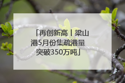 再创新高丨梁山港5月份集疏港量突破350万吨