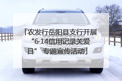 农发行岳阳县支行开展“6·14信用记录关爱日” 专题宣传活动