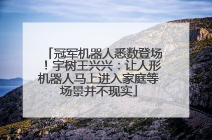 冠军机器人悉数登场！宇树王兴兴：让人形机器人马上进入家庭等场景并不现实
