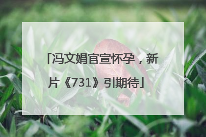 冯文娟官宣怀孕，新片《731》引期待
