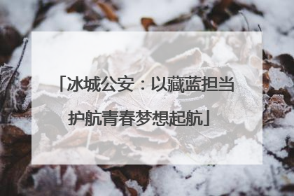冰城公安：以藏蓝担当 护航青春梦想起航
