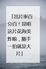 出片率百分百！昆明这片花海美炸啦，随手一拍就是大片