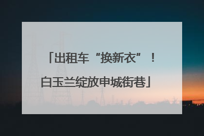 出租车“换新衣”！白玉兰绽放申城街巷