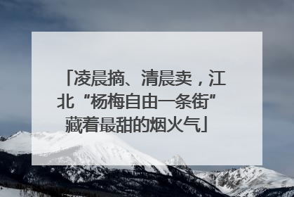 凌晨摘、清晨卖，江北“杨梅自由一条街”藏着最甜的烟火气