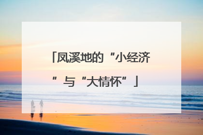凤溪地的“小经济”与“大情怀”