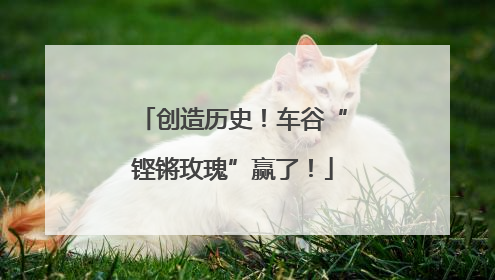 创造历史！车谷“铿锵玫瑰”赢了！