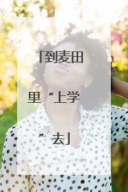 到麦田里“上学”去