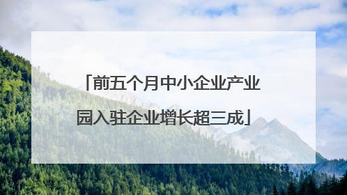 前五个月中小企业产业园入驻企业增长超三成