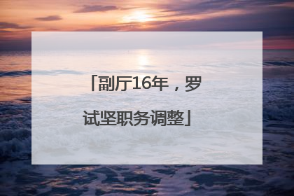 副厅16年，罗试坚职务调整