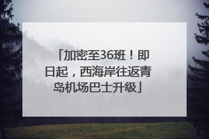 加密至36班！即日起，西海岸往返青岛机场巴士升级