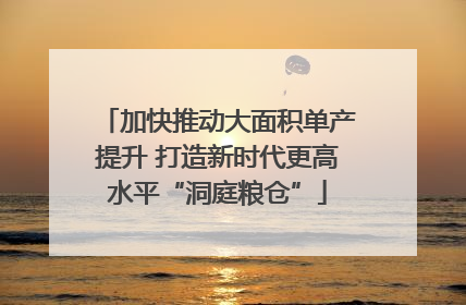 加快推动大面积单产提升 打造新时代更高水平“洞庭粮仓”