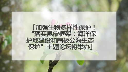 加强生物多样性保护！“落实昆蒙框架：海洋保护地建设和南极公海生态保护”主题论坛将举办